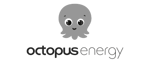 Octopus Energy 2-1